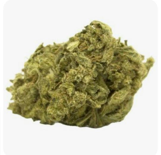 Alien Crack Flower by NOBO