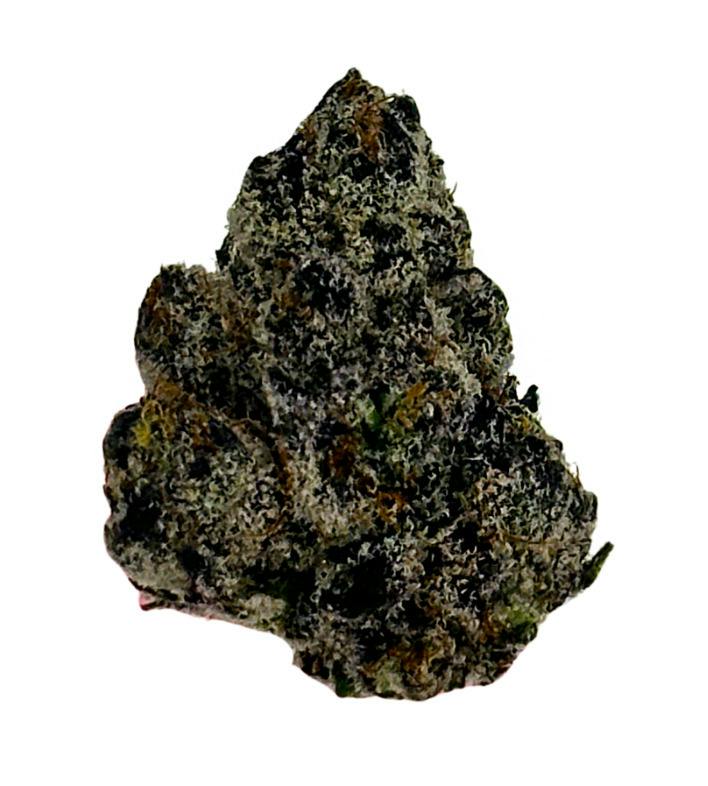 Frost Hammer Flower By LegaSea Farms