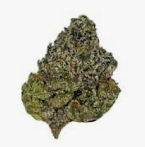 Ghost Face OG Flower By LegaSea Farms