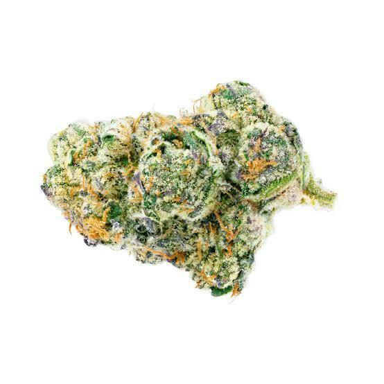 Strawberry Guava Flower by NOBO