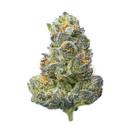 Trix Organic Flower by Old School Organics