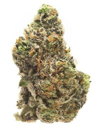 Apple Fritter Flower by NOBO