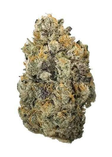NY Chem Flower by NOBO