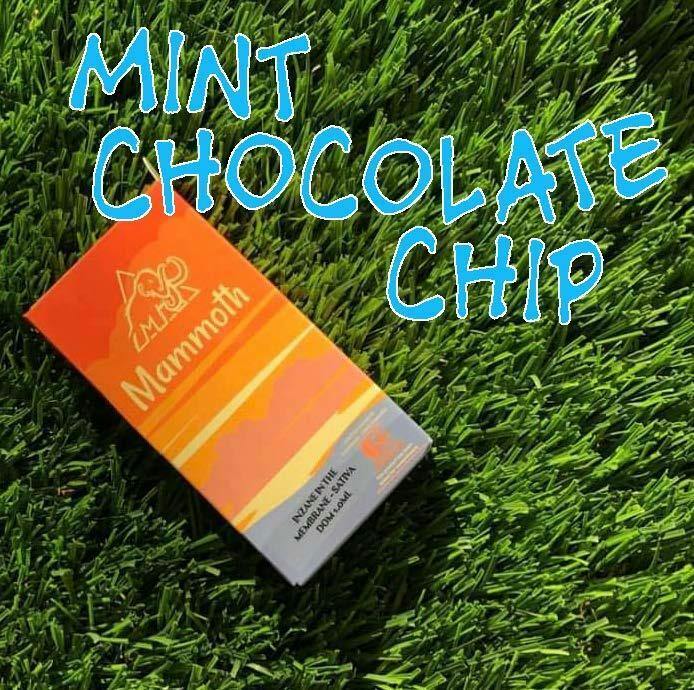 Mammoth - Mint Chocolate Chip 1g Cart