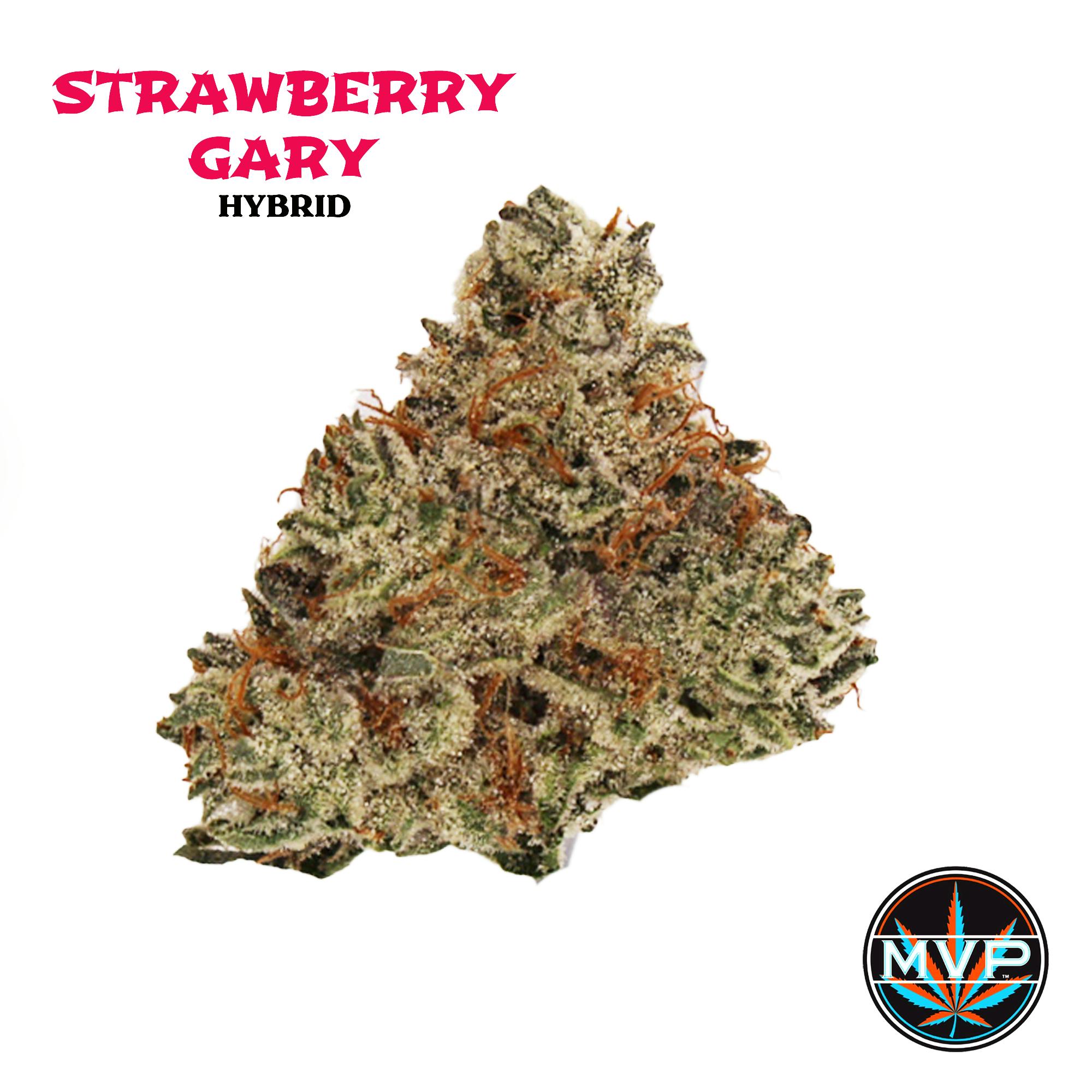 Strawberry Gary 3.5 Grams - (MVP)