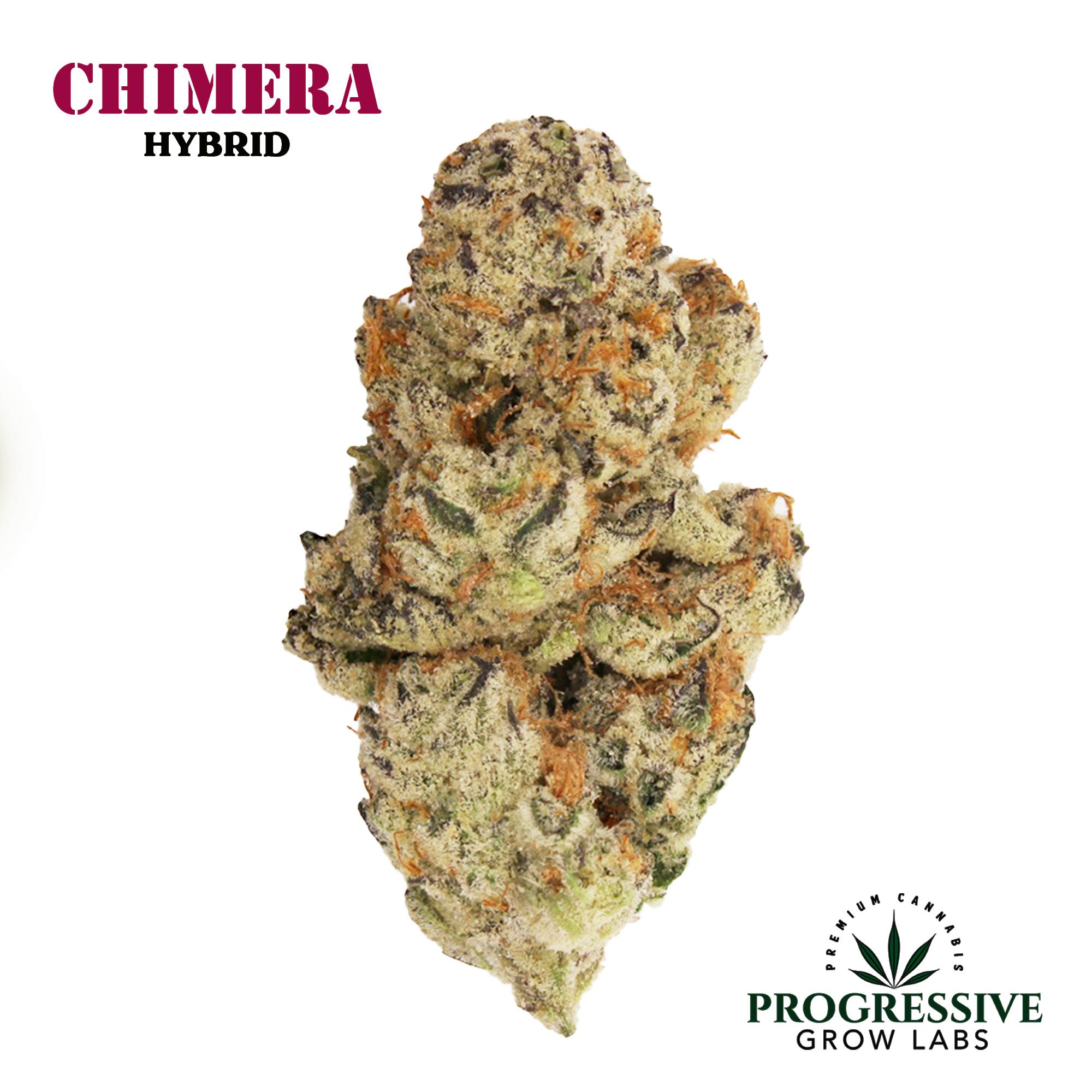 Chimera 3.5 Grams - P.G.L.