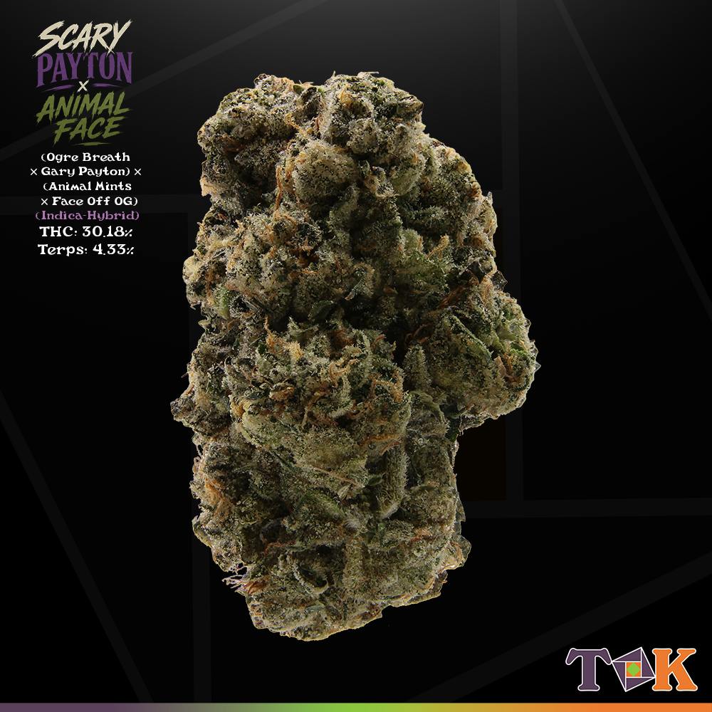 Scary Payton × Animal Face 14 Grams Big Buds - T.O.K.
