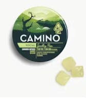 Kiva: Sparkling Pear - Camino