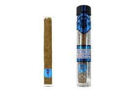 El Blunto | Government Oasis - 1.65g Rosin Infused Blunt