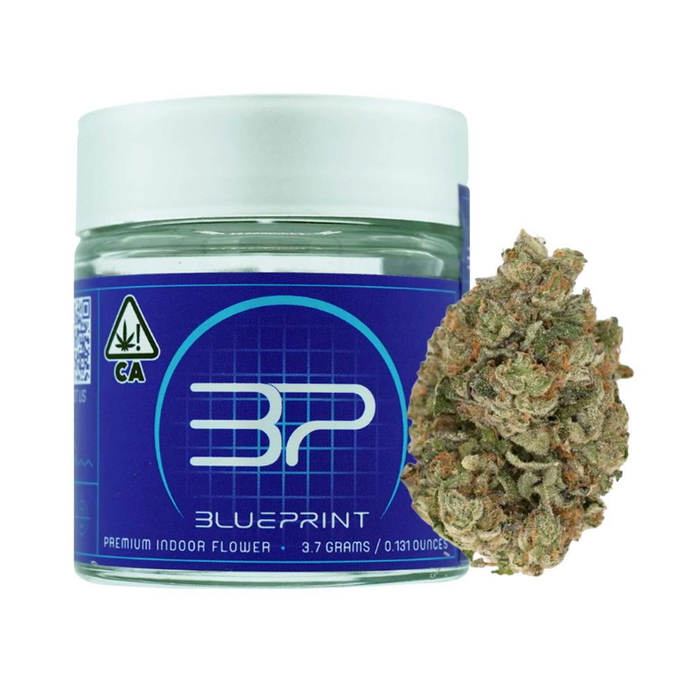 BluePrint: Blue Frog