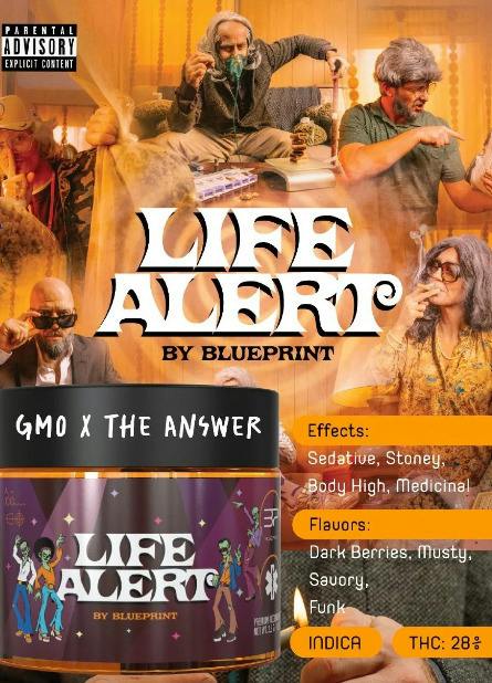 BluePrint: Life Alert