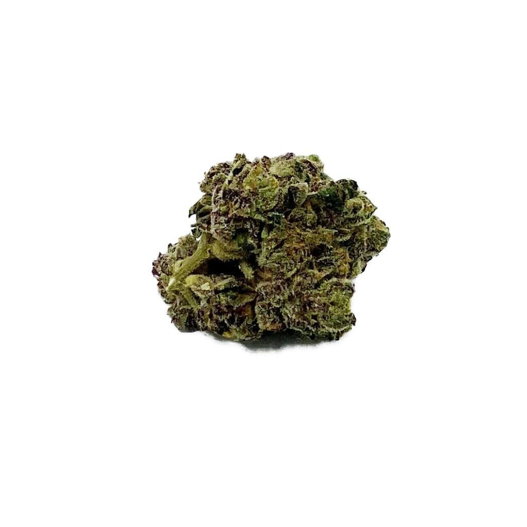 Disco Fsh - Scarlett's Sin - Hybrid - 3.5g