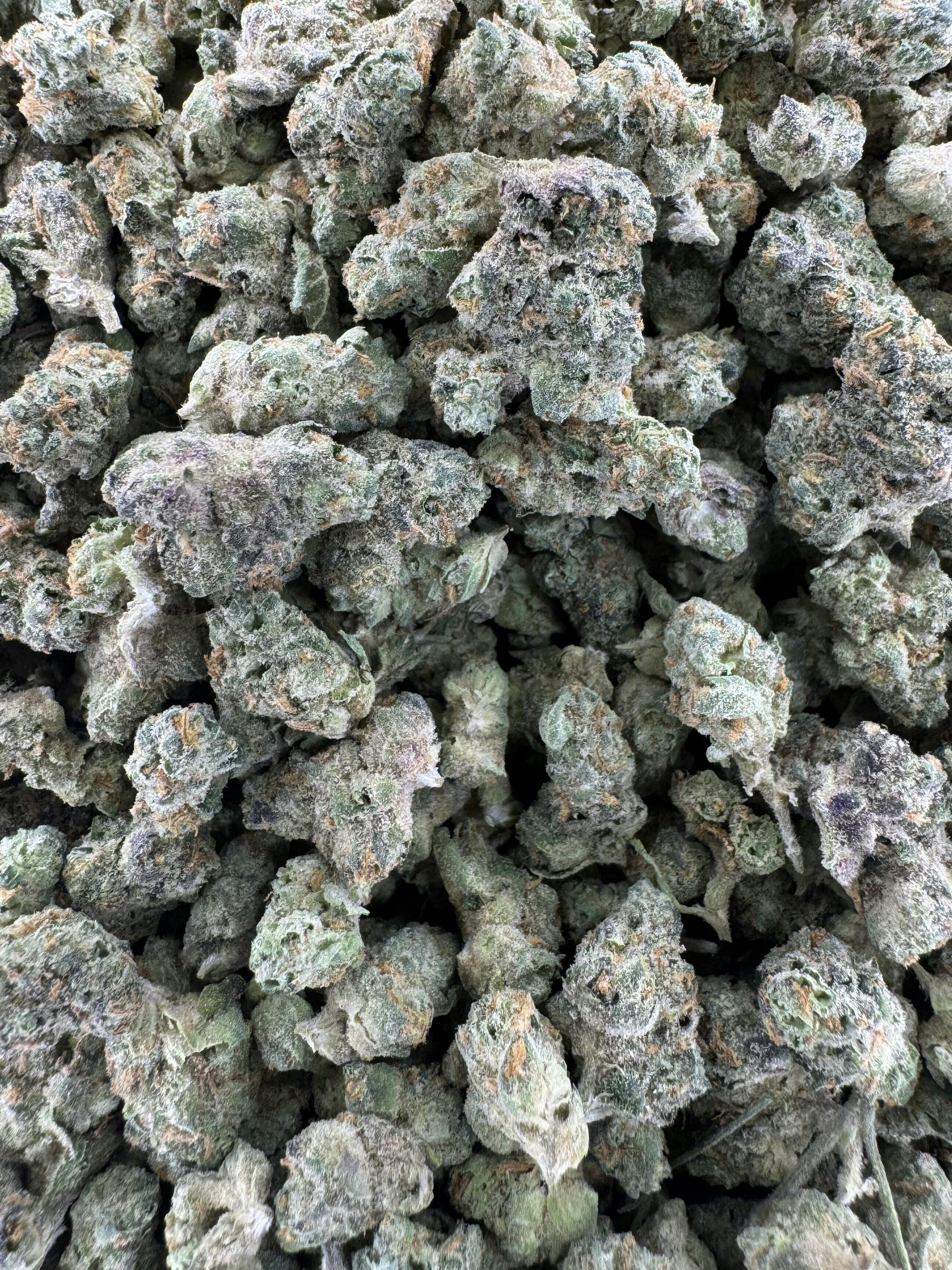 Cookies | Gary Payton | Deli Flower (Smalls)