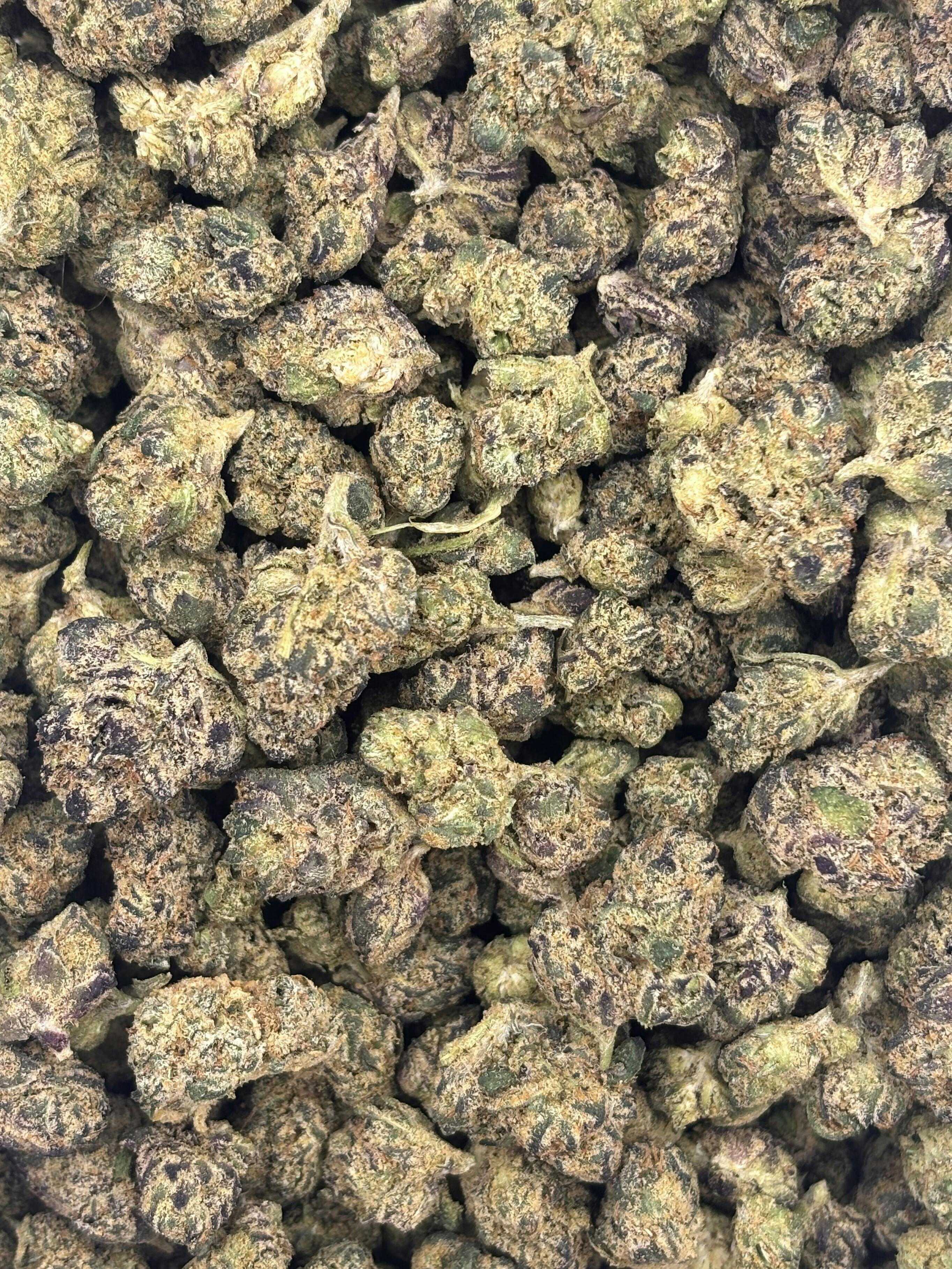 Gush Mintz | Deli Flower (Gold)