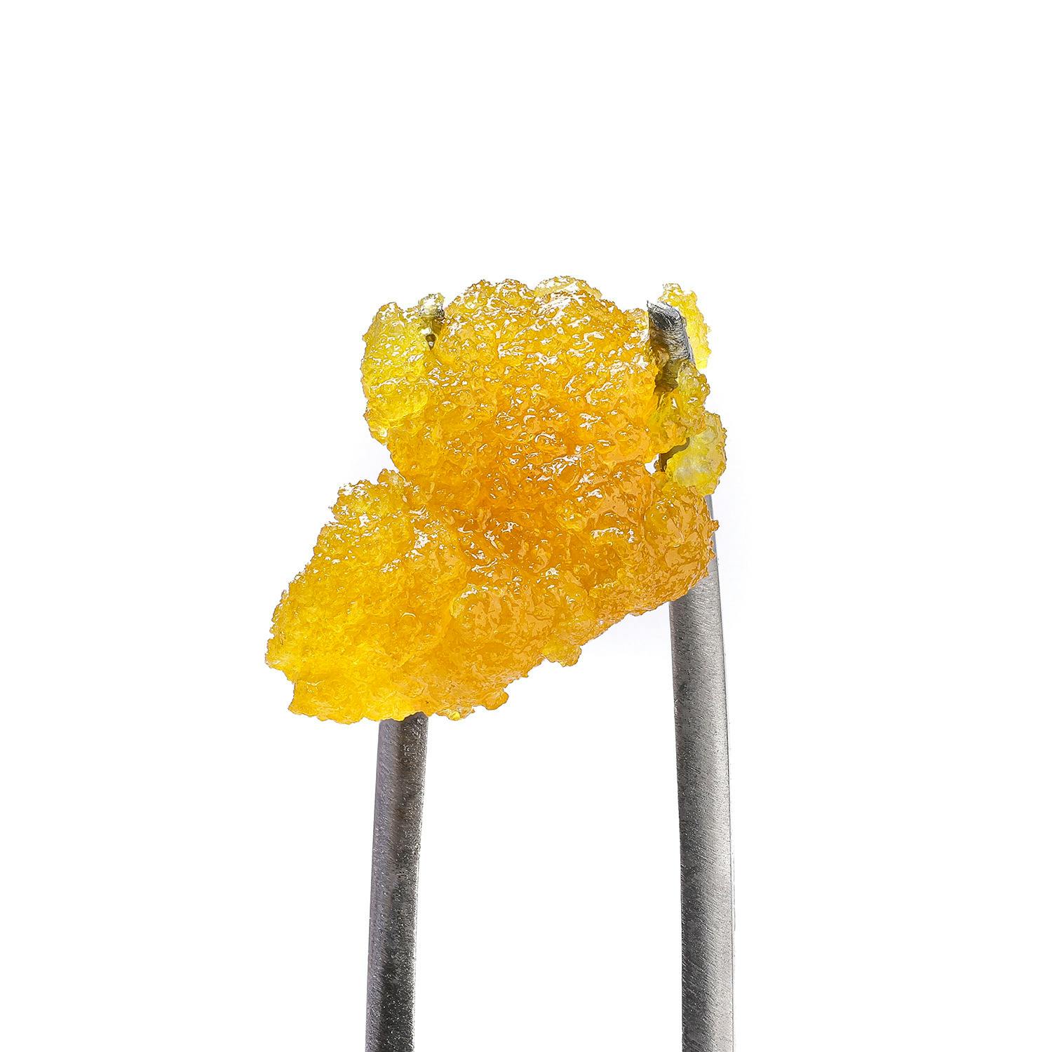 Boston Runtz #5: Cured Sugar