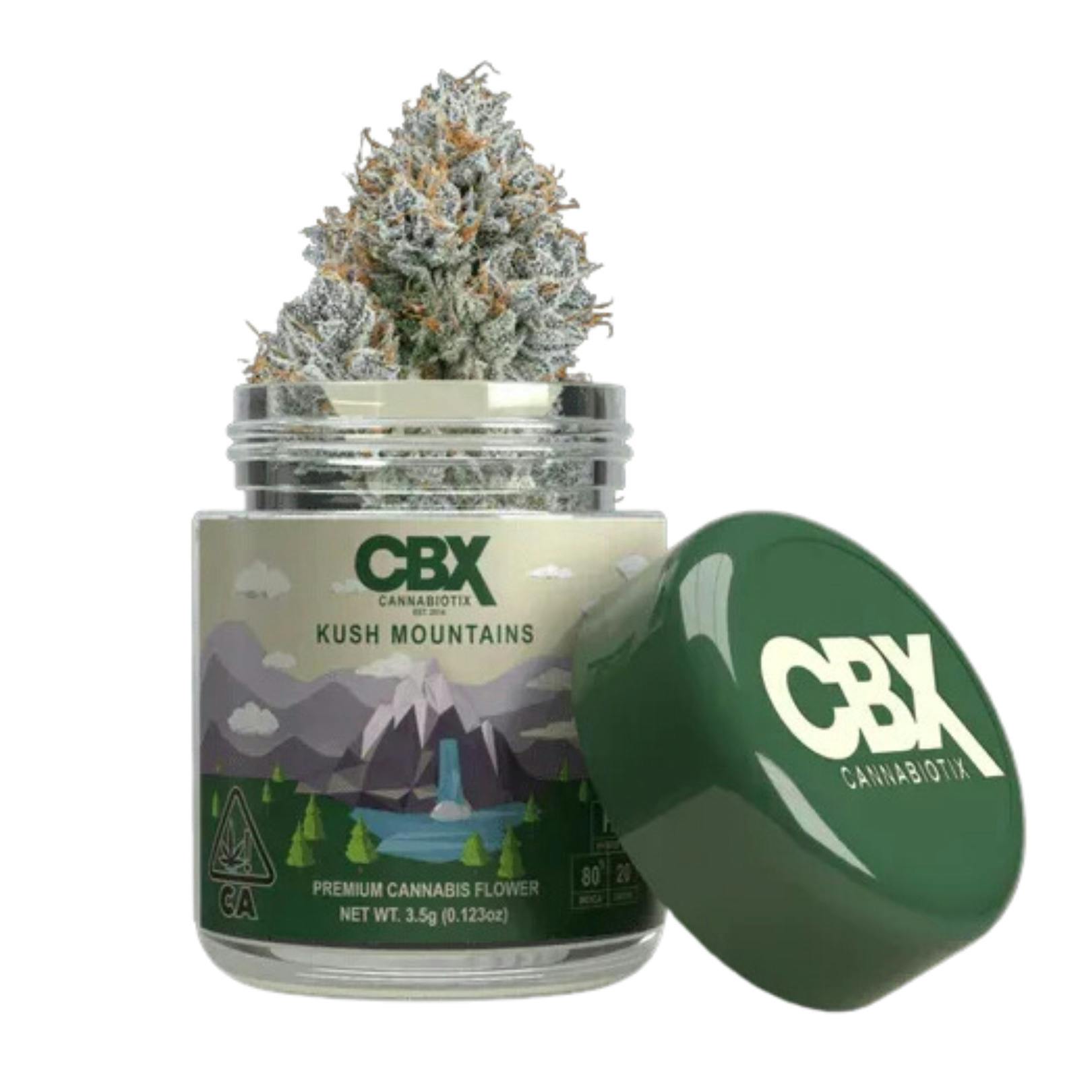 Kush Mountains