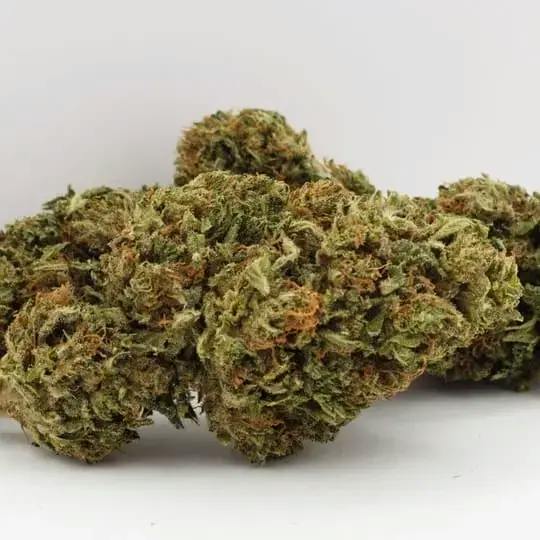 DAY DREAMIN' INFUSED CBD FLOWER - 7g