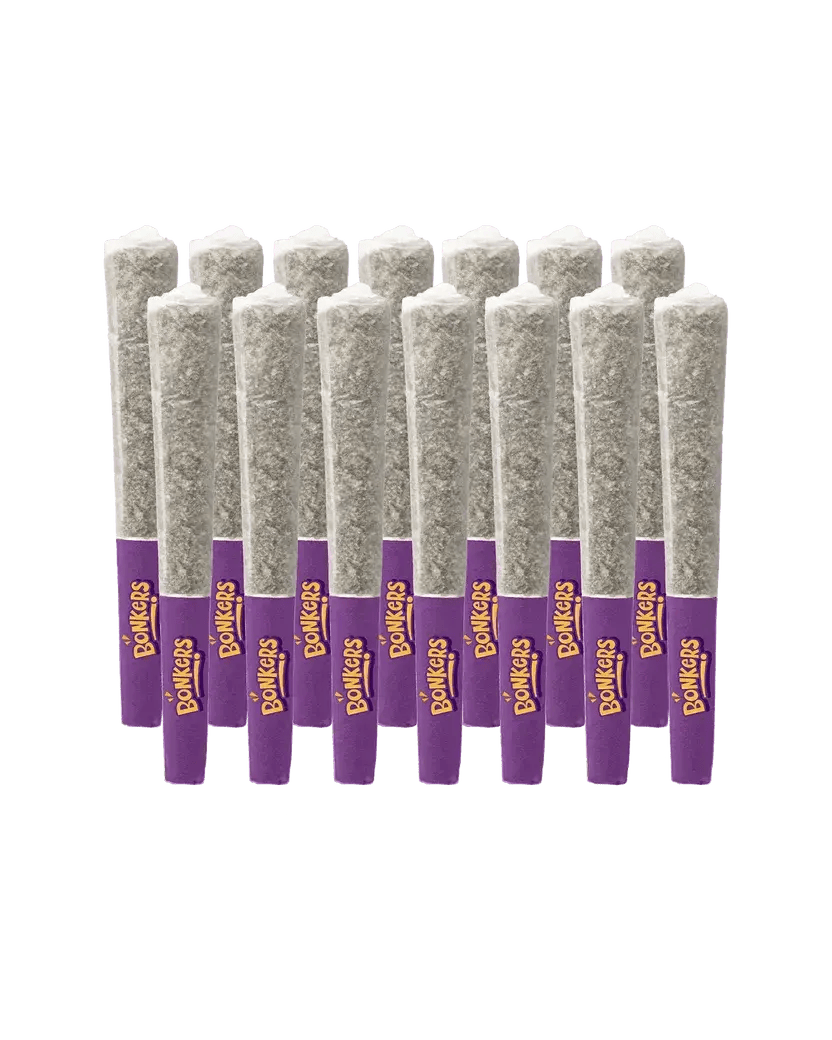 GUMMIE BEARZ PRE-ROLLS - (14 x 0.5g)