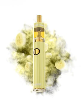 2g Banana Punch Disposable Vape