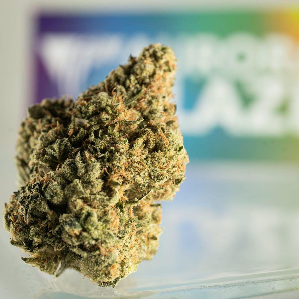A Bud Jenny Kush