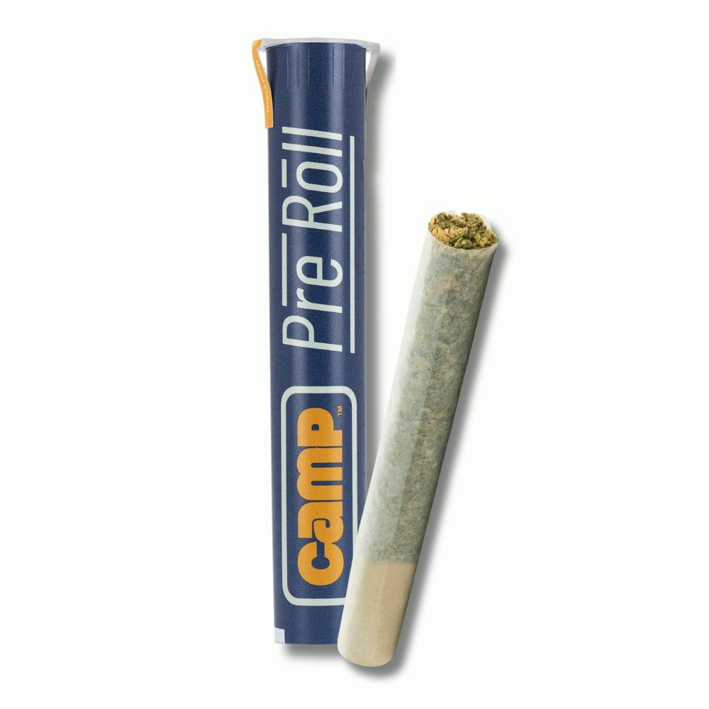 CAMP | Pre Roll | Banana Sherbert | [1g] | Hybrid