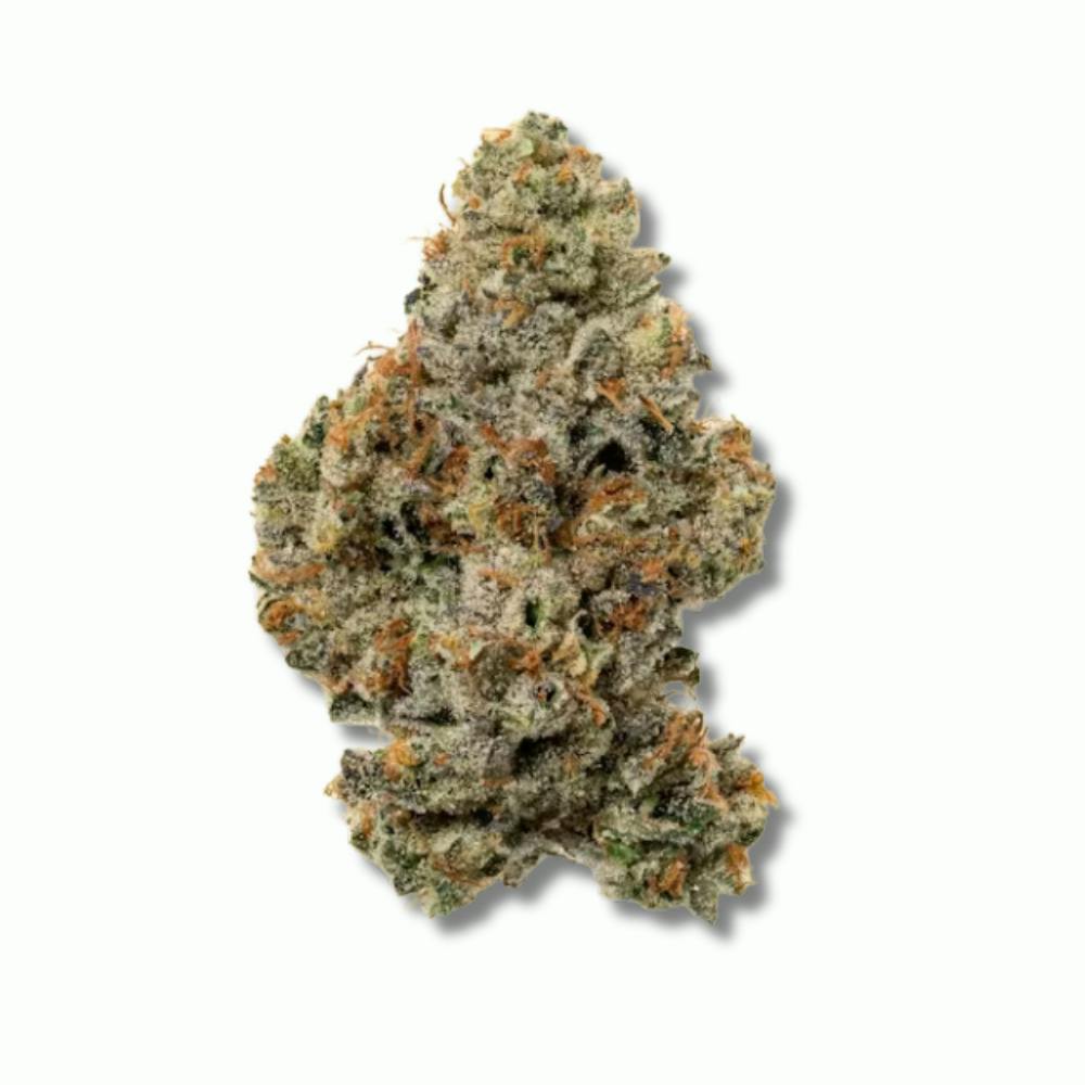 Trailblazer | Titty City | Flower | H | [3.5g]