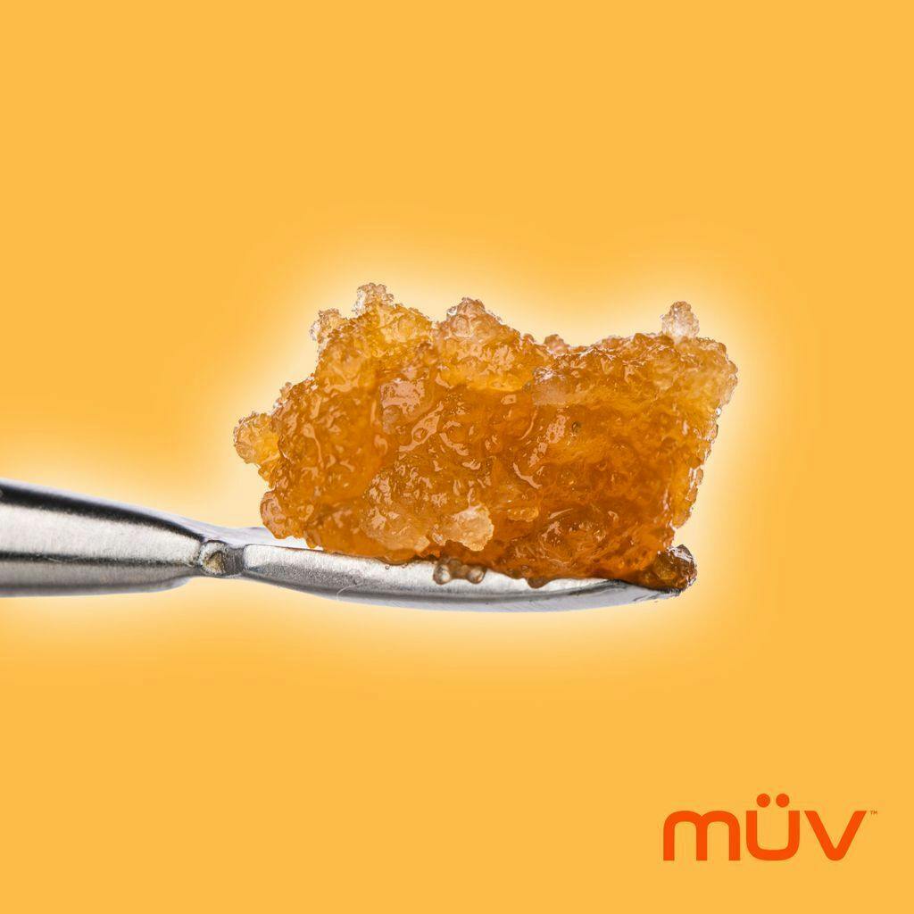 MÜV Live Resin Gator Breath Sugar 1g