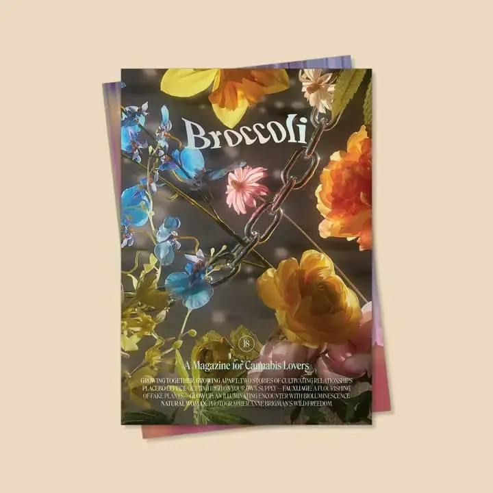 Broccoli Mag Issue 18