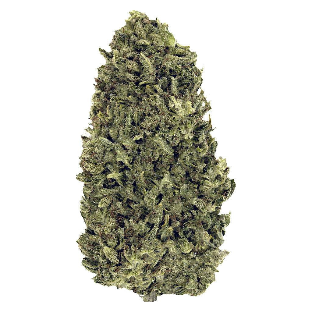 Nostalgia 7g *Craft *1.56% Terps