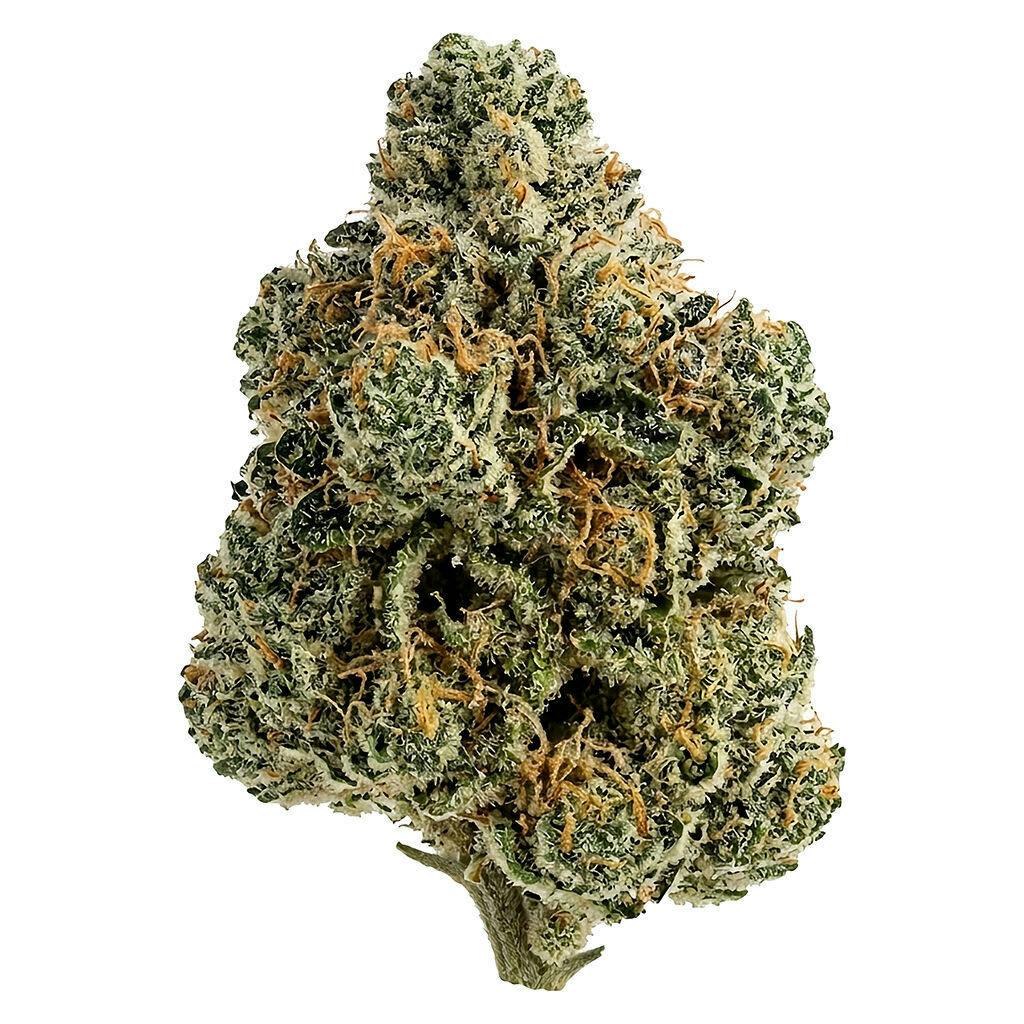 Breeders Stash (Demon Storm) 7g *Craft *2.26% Terps