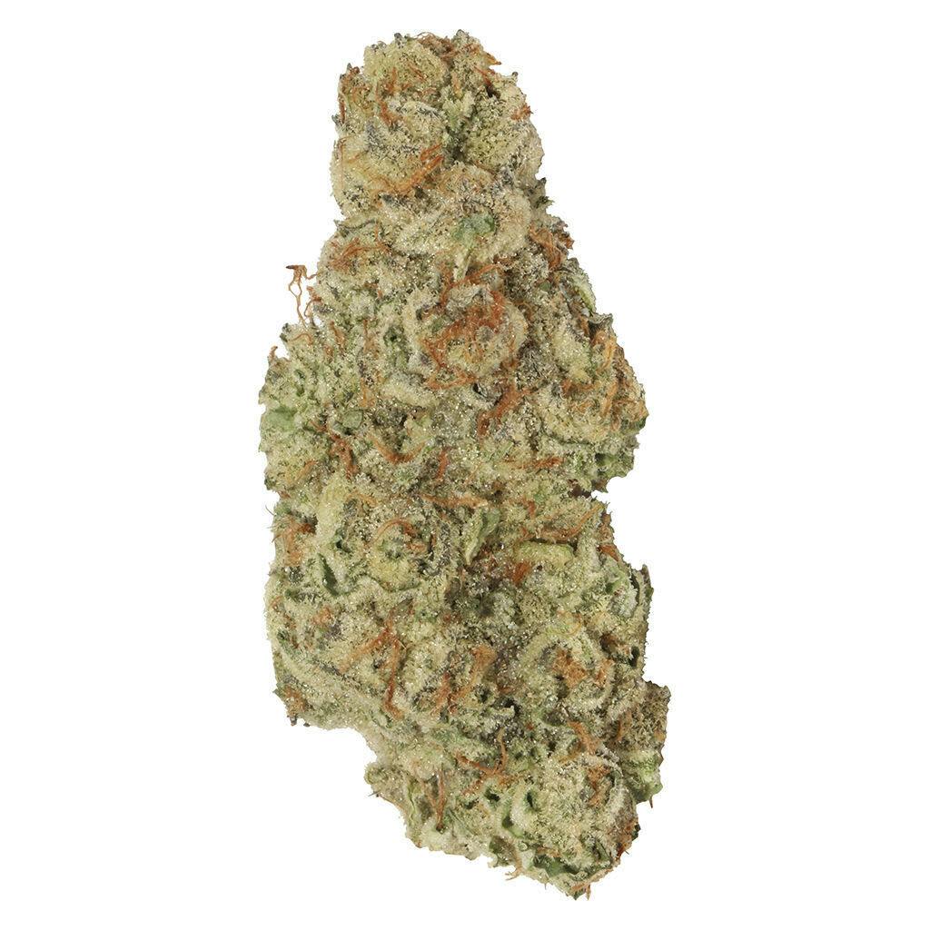 Garlic Mintz 7g *3.22% Terps