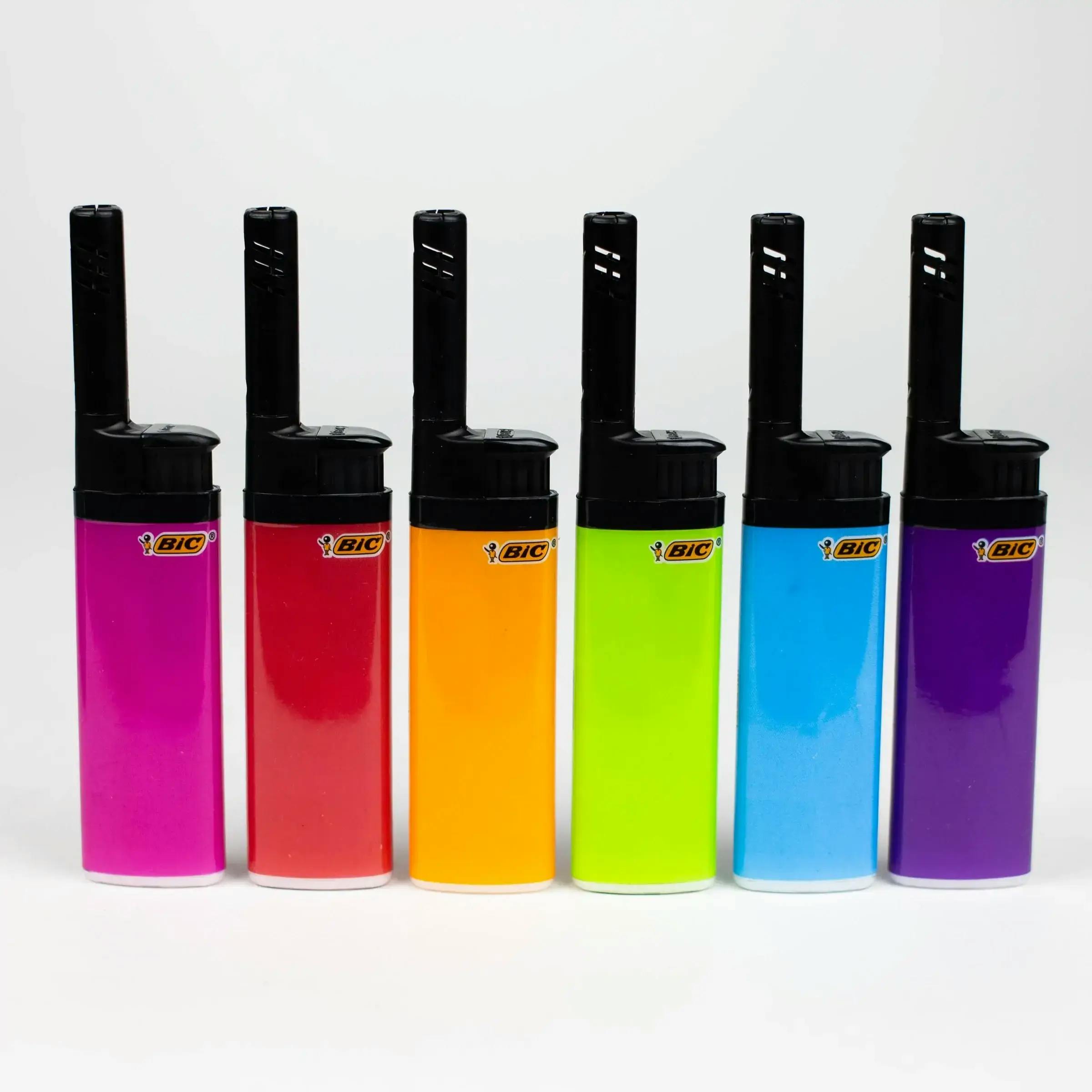 BIC EZ Reach Lighter
