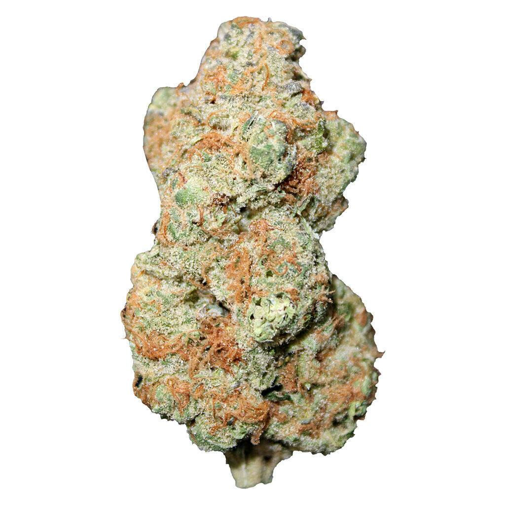 Jonny's Stash (Maui Wowie) 7g *Craft *2.3% Terps