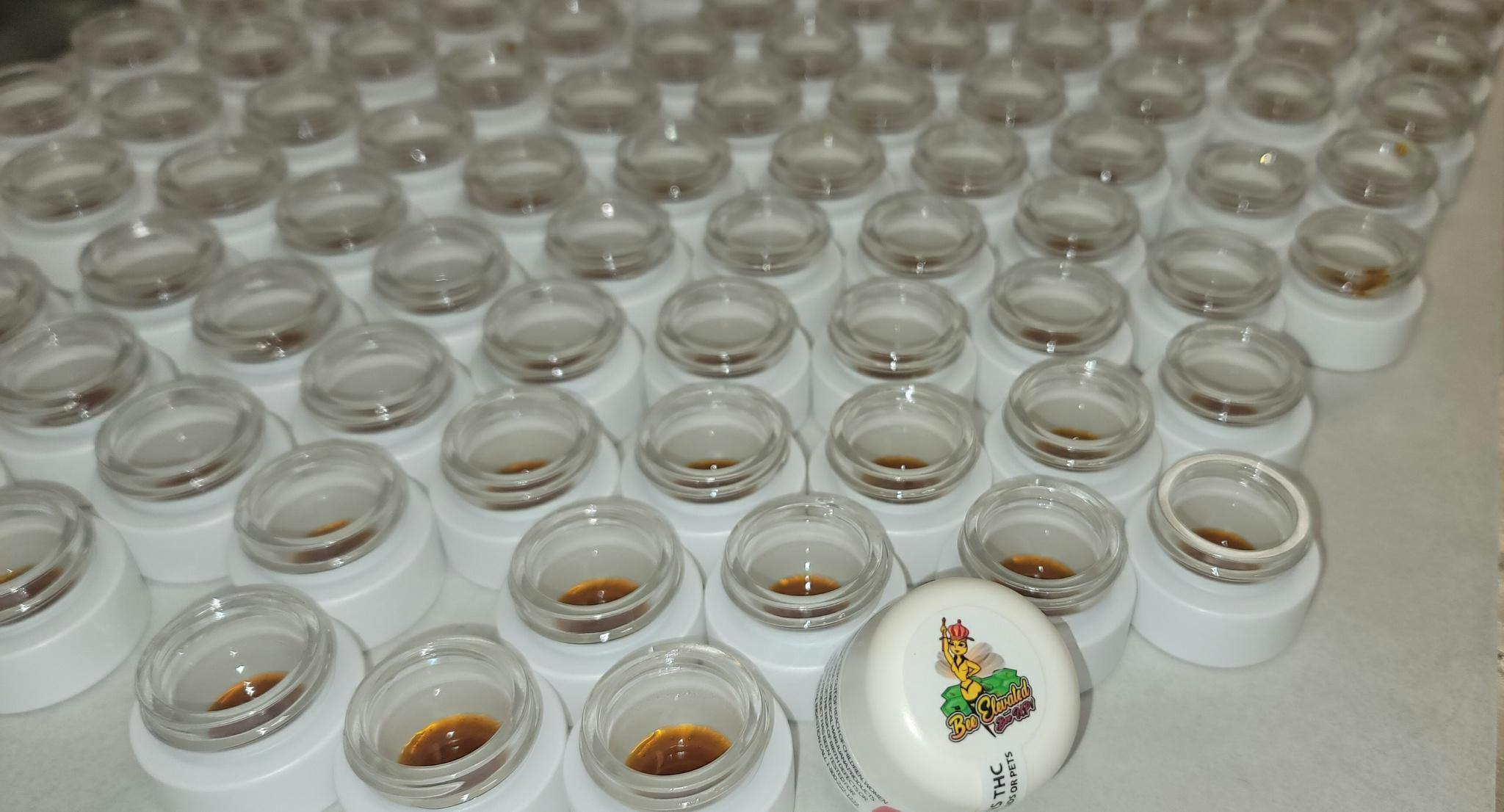 Blue Island Skunk (1g) Live Resin