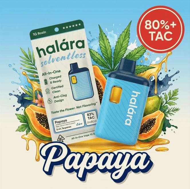 Halara - Papaya | 1g Rosin AIO