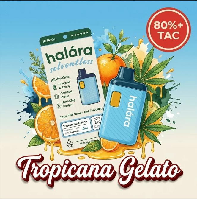 Halara - Tropicanna Gelato | 1g Rosin AIO