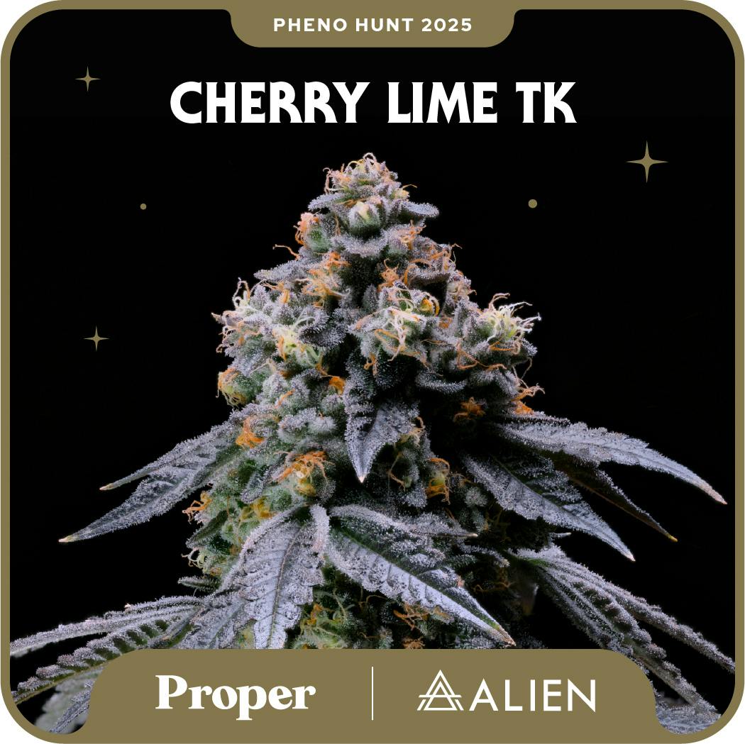 Proper | Reserve | Cherry Lime TK #34 3.5g