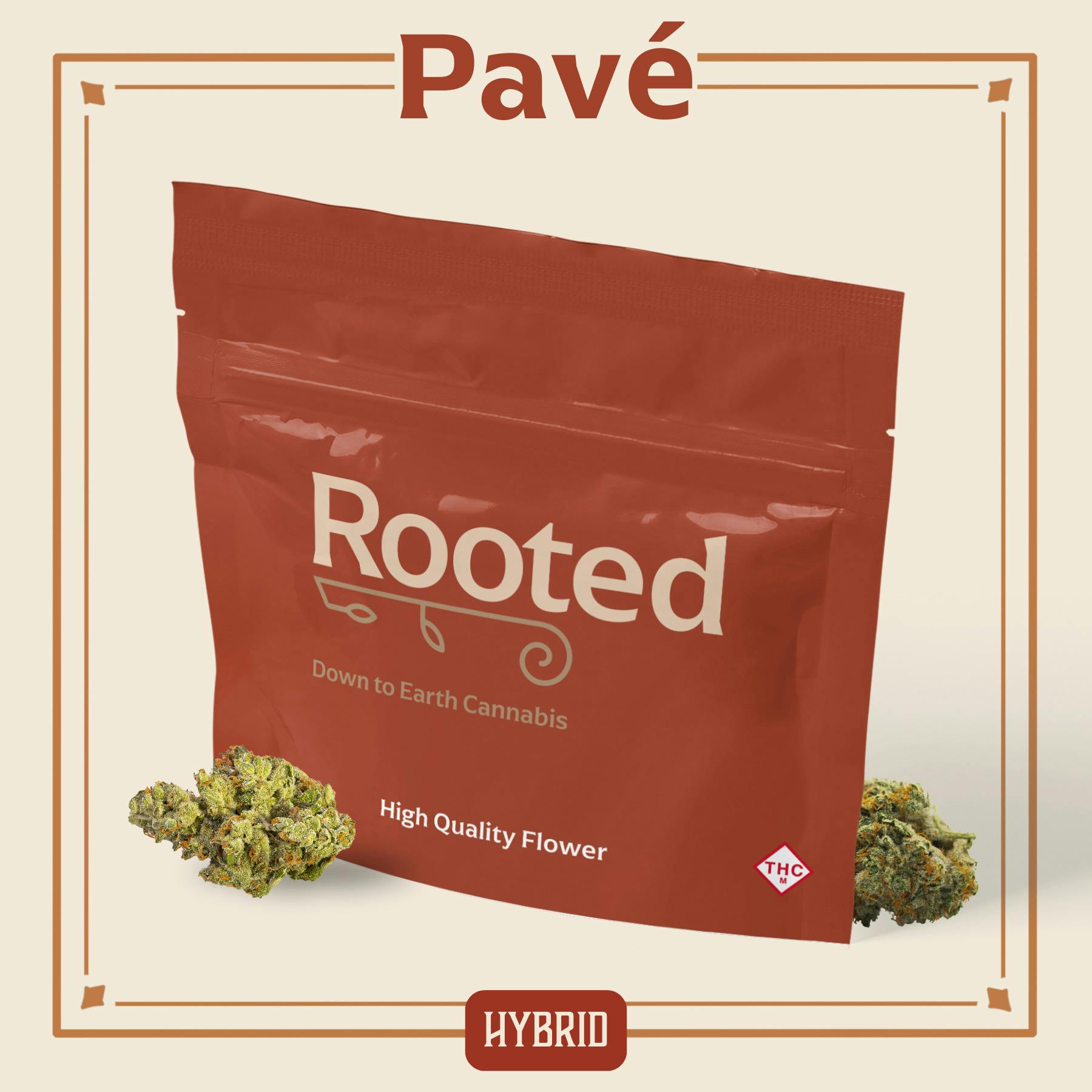 Rooted | Pave 14g