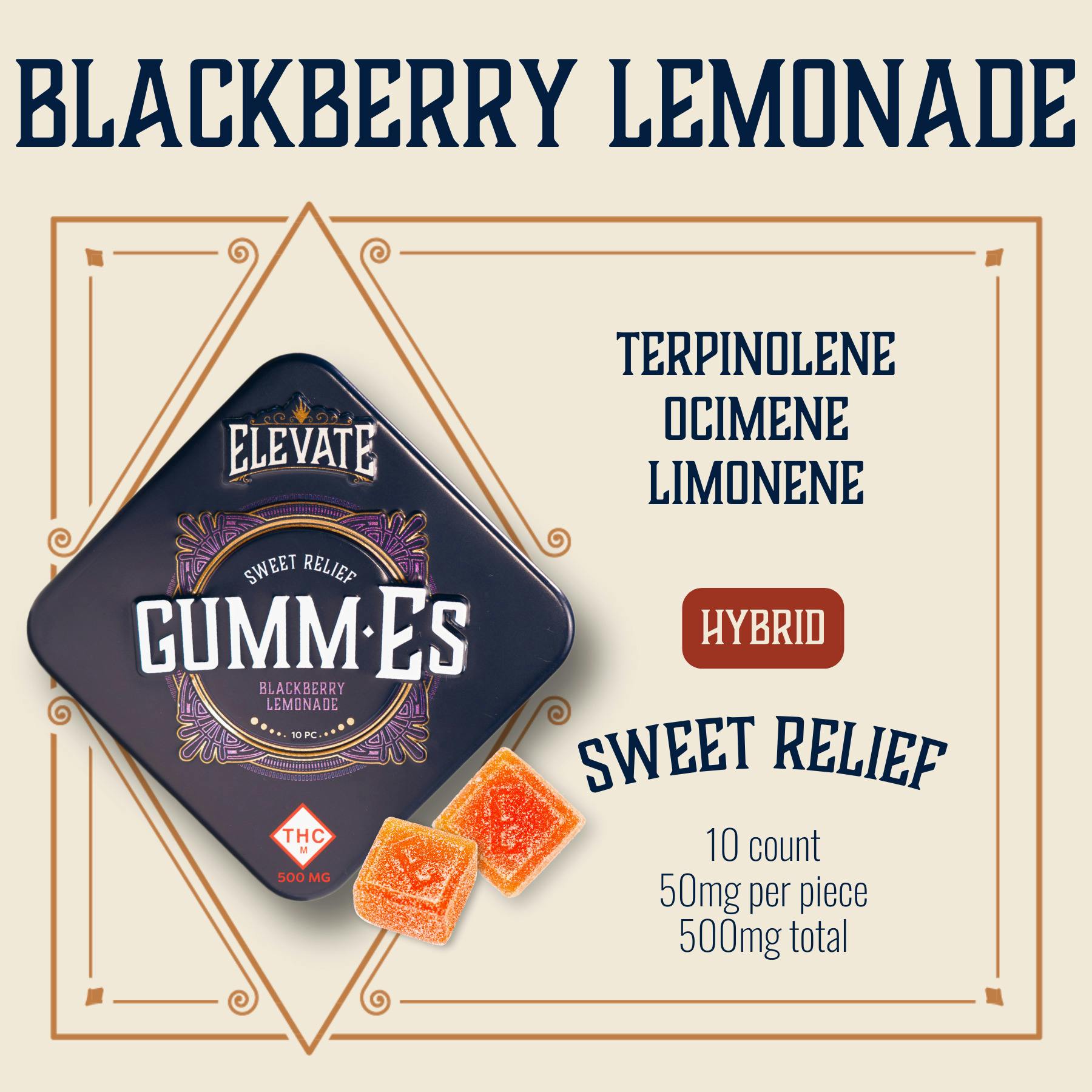 Elevate | Gummies | Blackberry Lemonade 10pk 500mg