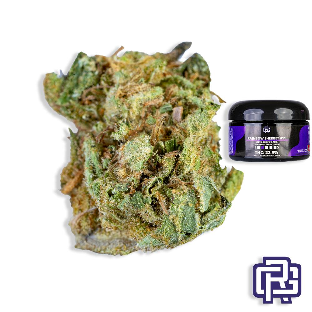 Rainbow Sherbet #11 Flower Quarter Special: Urban Pharms