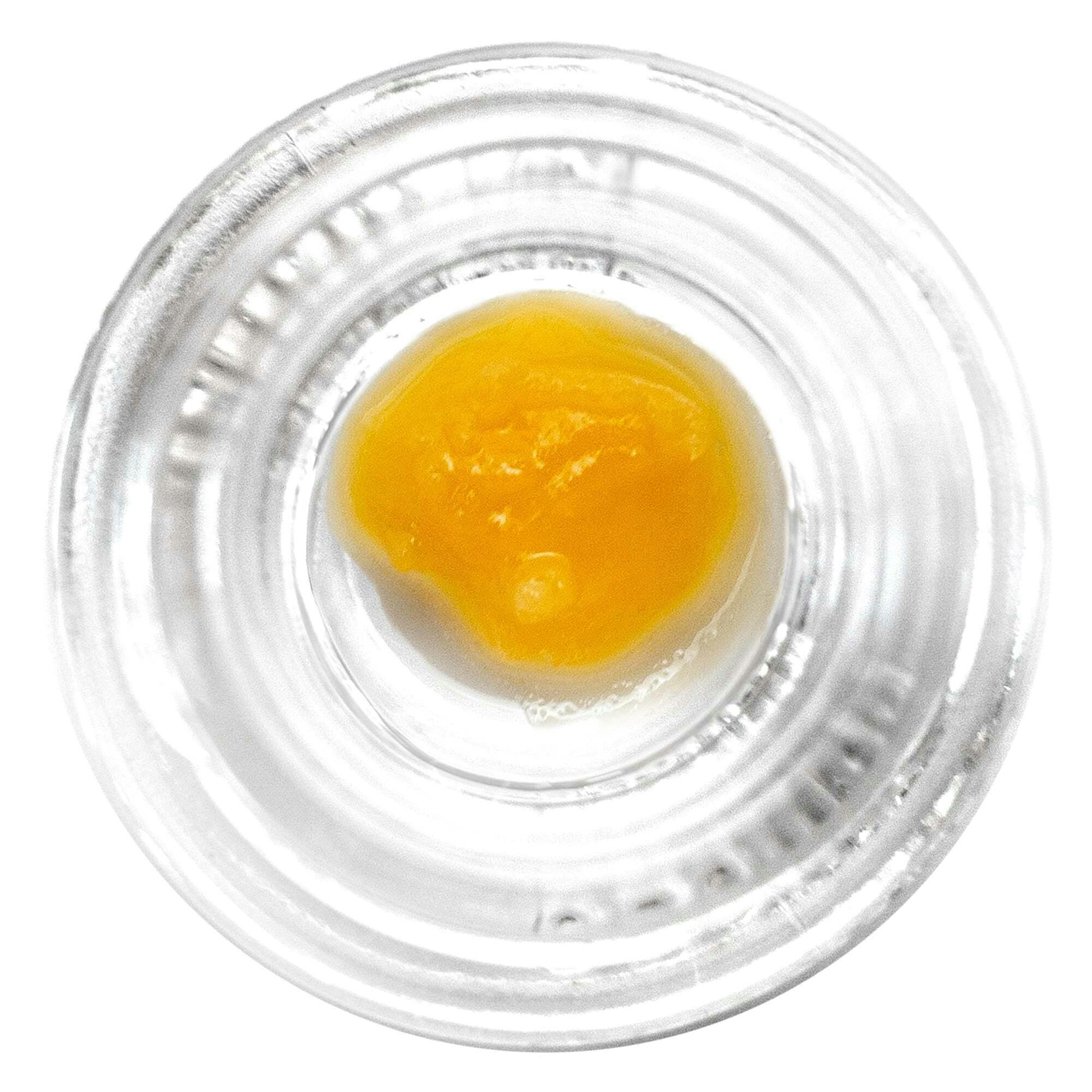 Papaya Punch — Papaya Punch