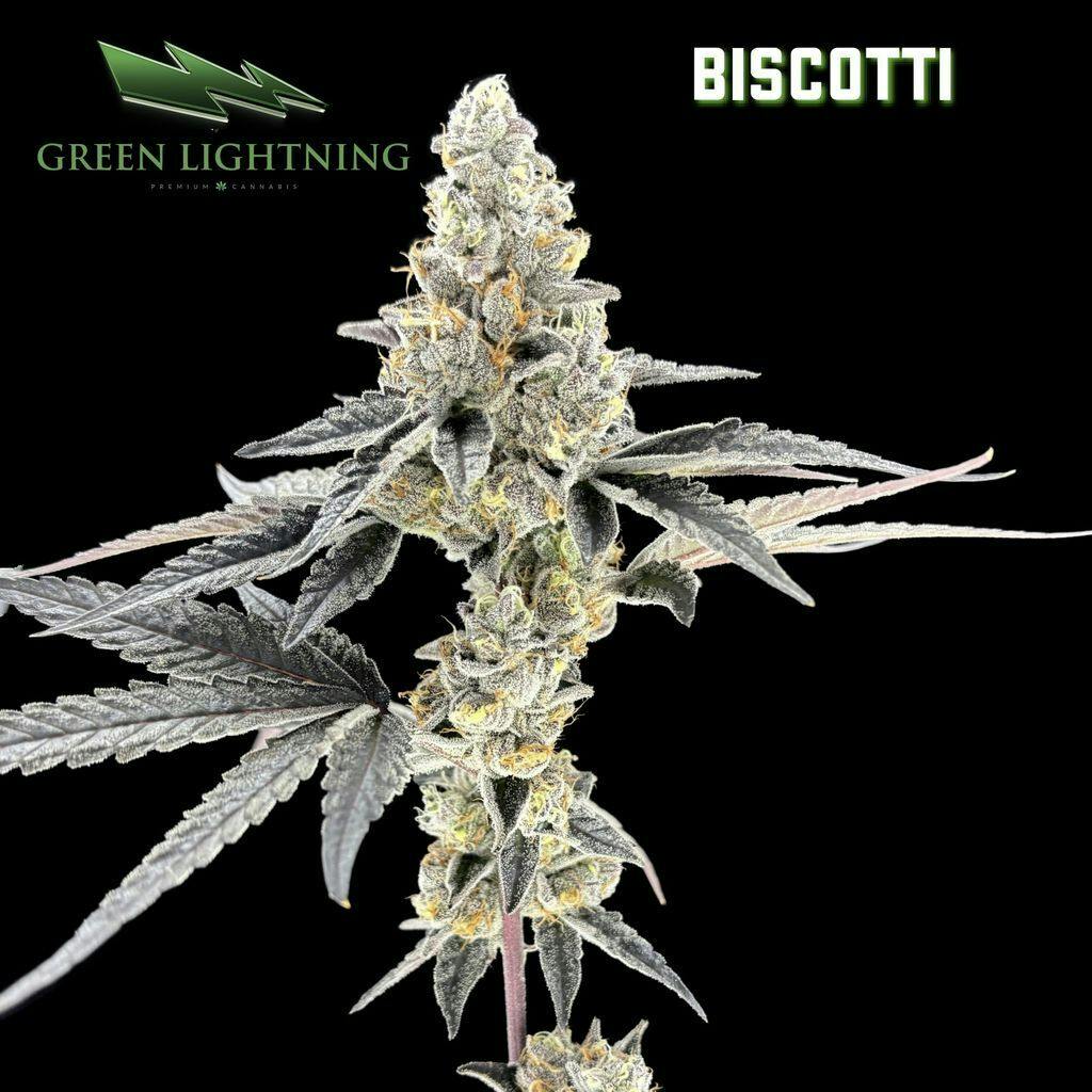 Green Lightning Biscotti Whole Buds 3.5g