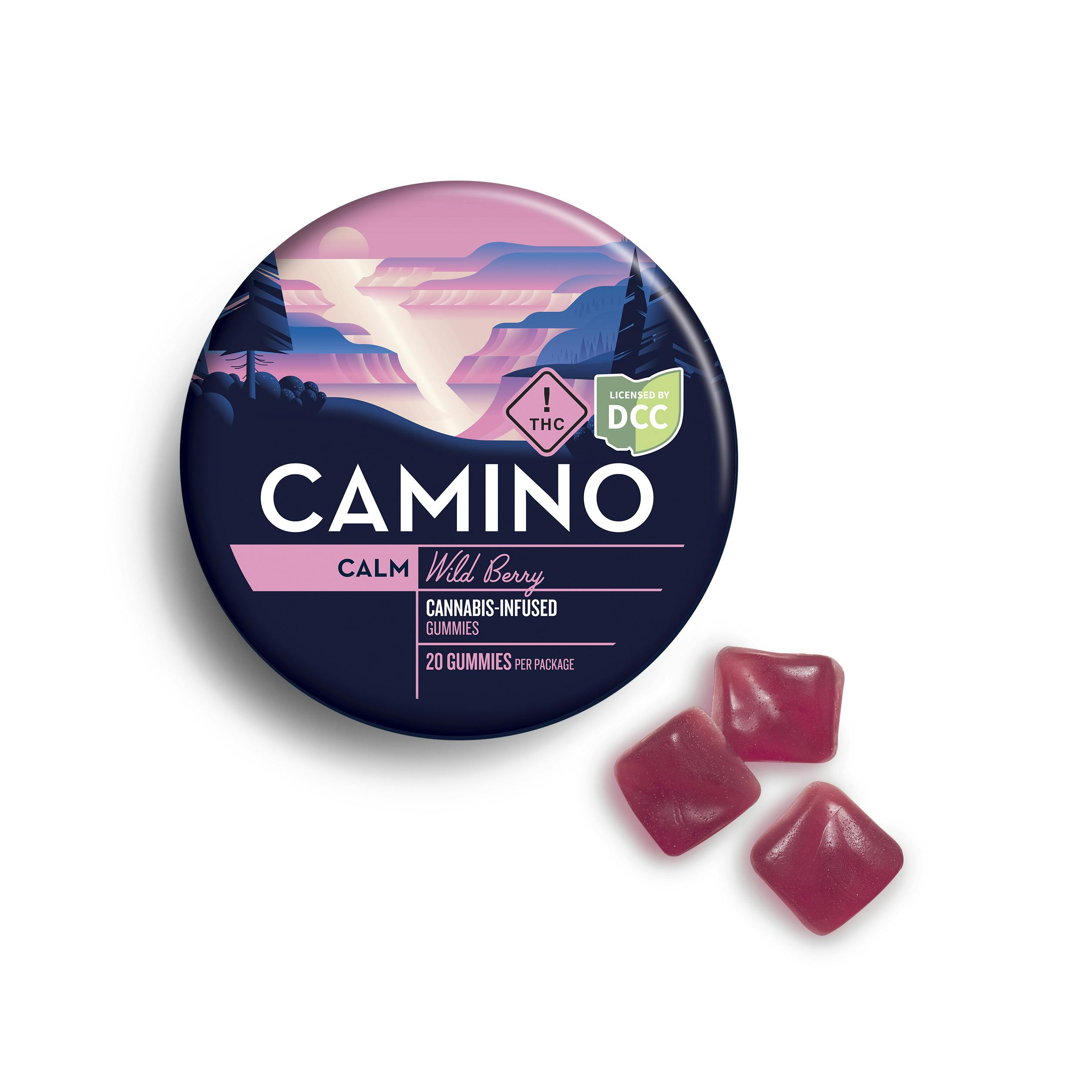 Wild Berry Gummies 20pk - 1027609