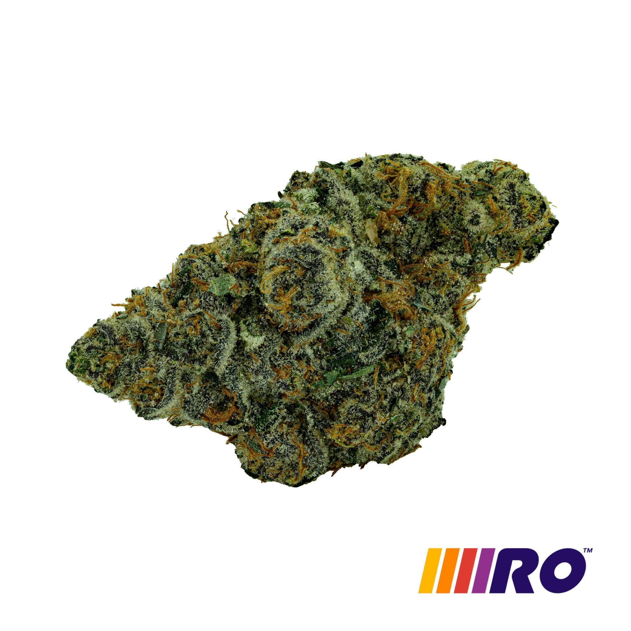 Purple Octane Flower - 1360820