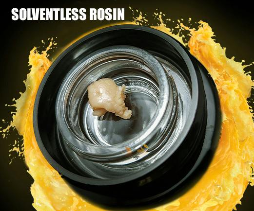Solventless by Vytal Rose Fuzz Live Rosin 1g