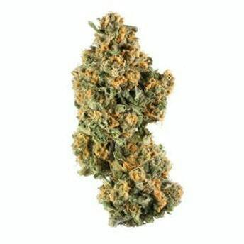 STIIIZY Stiiizy OG Whole Flower 3.5g