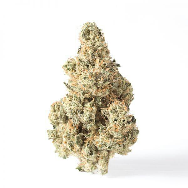 Green Life Productions Miss X Popcorn 14g cannabis product