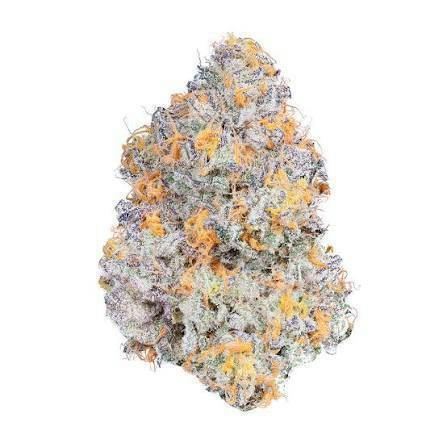 Dark Web Flower