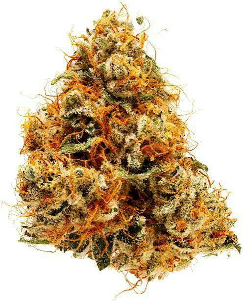 S.Y.M. Flower