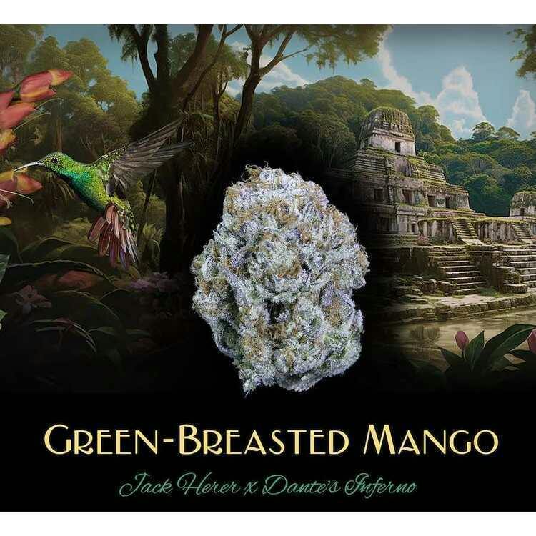 Green-Breasted Mango